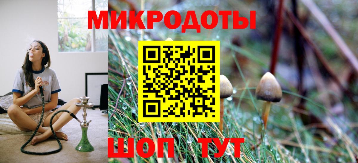 Псилоцибиновые грибы Psilocybine cubensis Тимашёвск