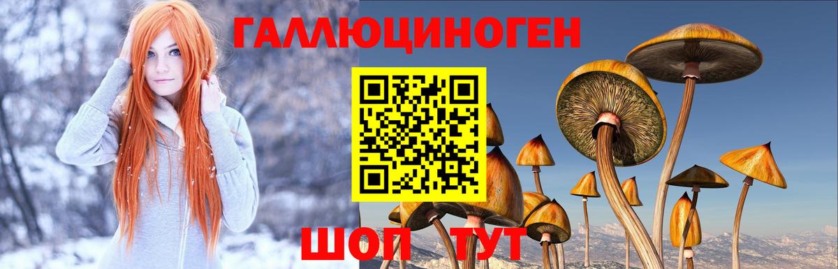 Тимашёвск  Галлюциногенные грибы Magic Shrooms  Вход с VPN 